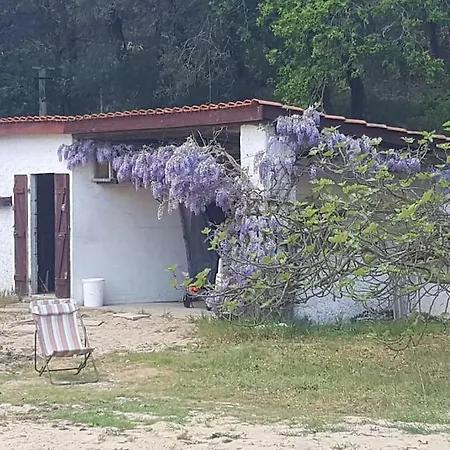 Villa Maison A Saint-augustin/mer Proche De Palais *