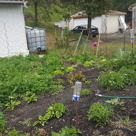 Maison A Saint-augustin/mer Proche De Palais * Saint-Augustin (Charente-Maritime)