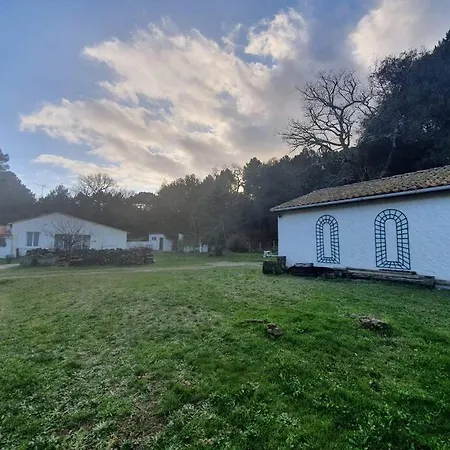 Maison A Saint-augustin/mer Proche De Palais *