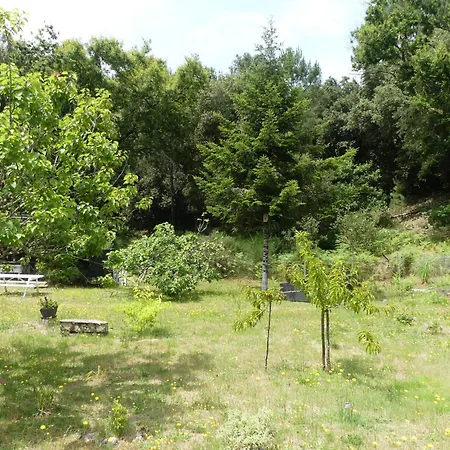 Maison A Saint-augustin/mer Proche De Palais Villa *