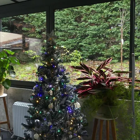 Maison A Saint-augustin/mer Proche De Palais Villa