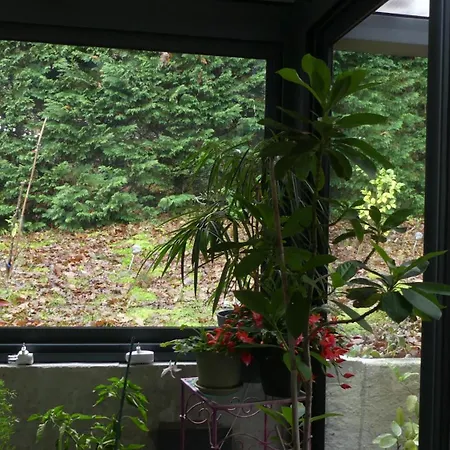 Maison A Saint-augustin/mer Proche De Palais Villa Saint-Augustin (Charente-Maritime)