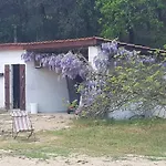 فيلة Maison A Saint-augustin/mer Proche De Palais *