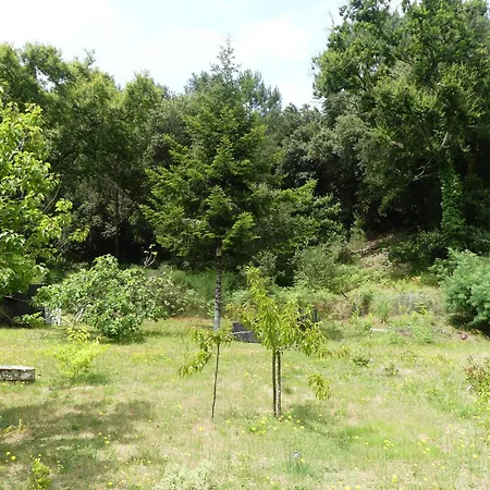 Maison à Saint-augustin/mer Proche De Palais Villa *