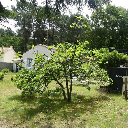 Villa Maison à Saint-augustin/mer Proche De Palais Saint-Augustin (Charente-Maritime)