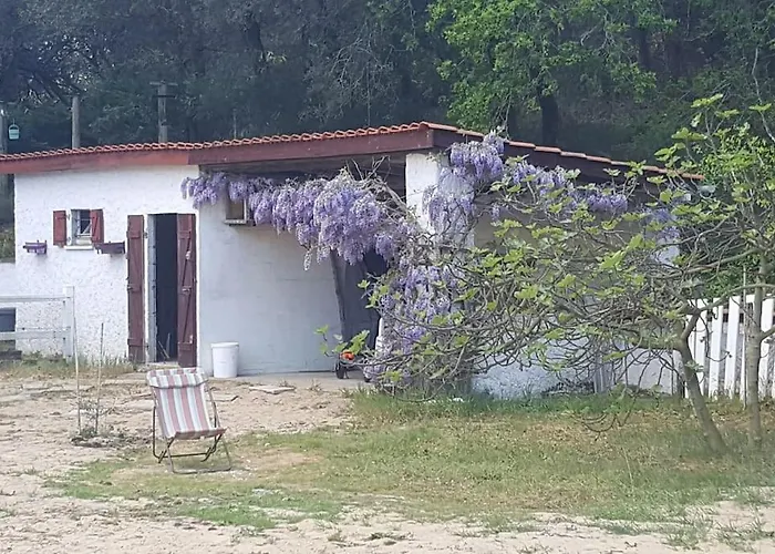 别墅 Maison A Saint-augustin/mer Proche De Palais *