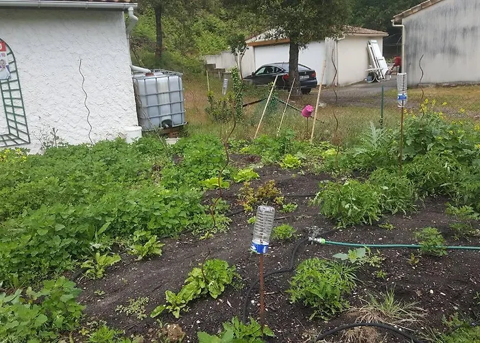 Maison A Saint-augustin/mer Proche De Palais * Saint-Augustin (Charente-Maritime)