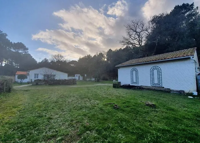 Maison A Saint-augustin/mer Proche De Palais *