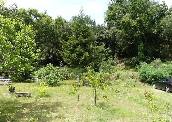 Maison A Saint-augustin/mer Proche De Palais 别墅 *