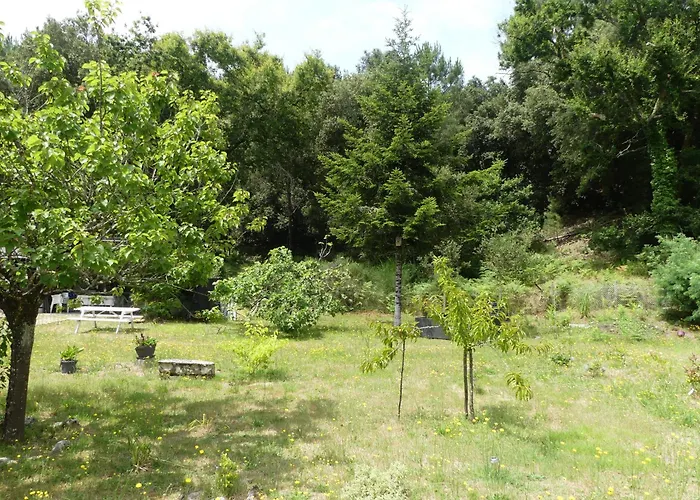 Maison A Saint-augustin/mer Proche De Palais 别墅 *