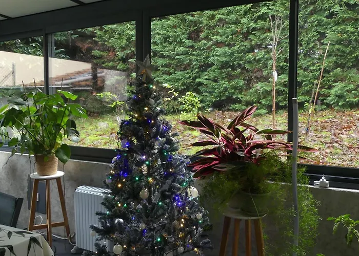 Maison A Saint-augustin/mer Proche De Palais 别墅