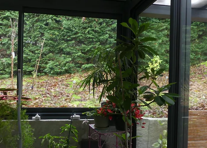 Maison A Saint-augustin/mer Proche De Palais 别墅 Saint-Augustin (Charente-Maritime)