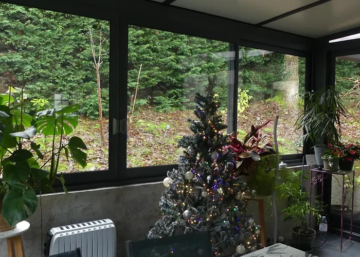 Maison A Saint-augustin/mer Proche De Palais 别墅 *