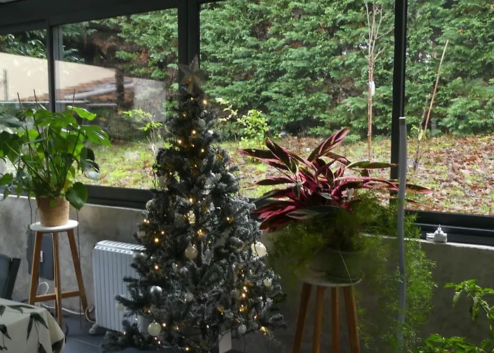 Maison A Saint-augustin/mer Proche De Palais * Saint-Augustin (Charente-Maritime)